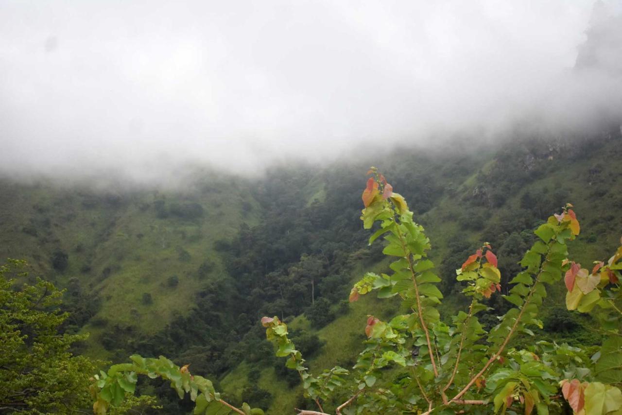 Herbage Natural Ella Otel Dış mekan fotoğraf