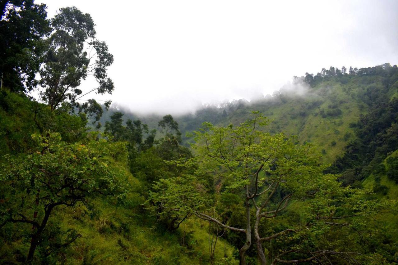 Herbage Natural Ella Otel Dış mekan fotoğraf