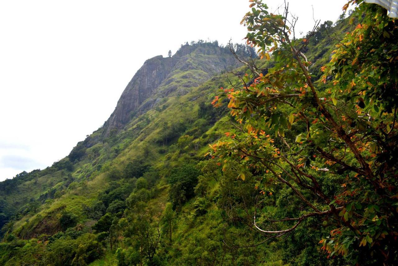 Herbage Natural Ella Otel Dış mekan fotoğraf