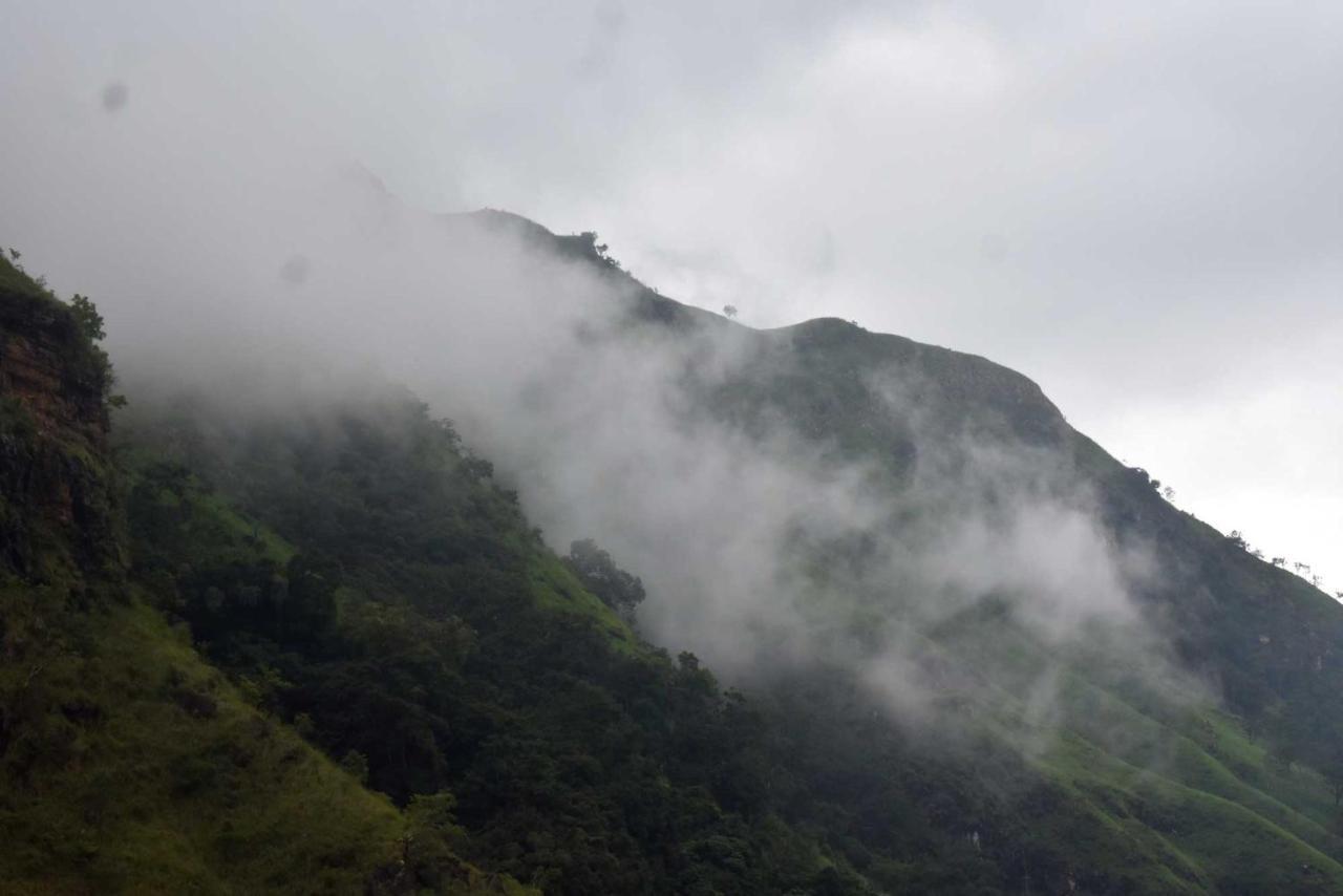 Herbage Natural Ella Otel Dış mekan fotoğraf