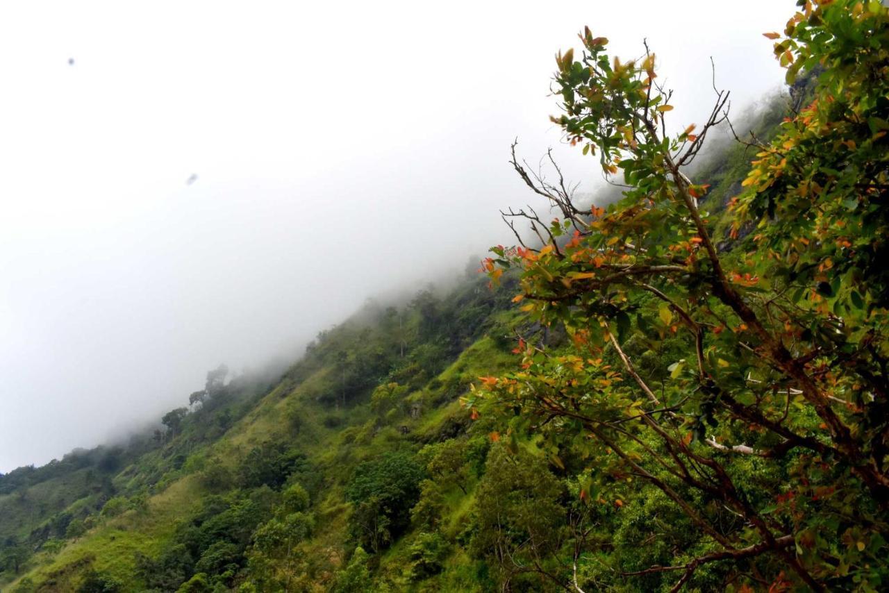 Herbage Natural Ella Otel Dış mekan fotoğraf