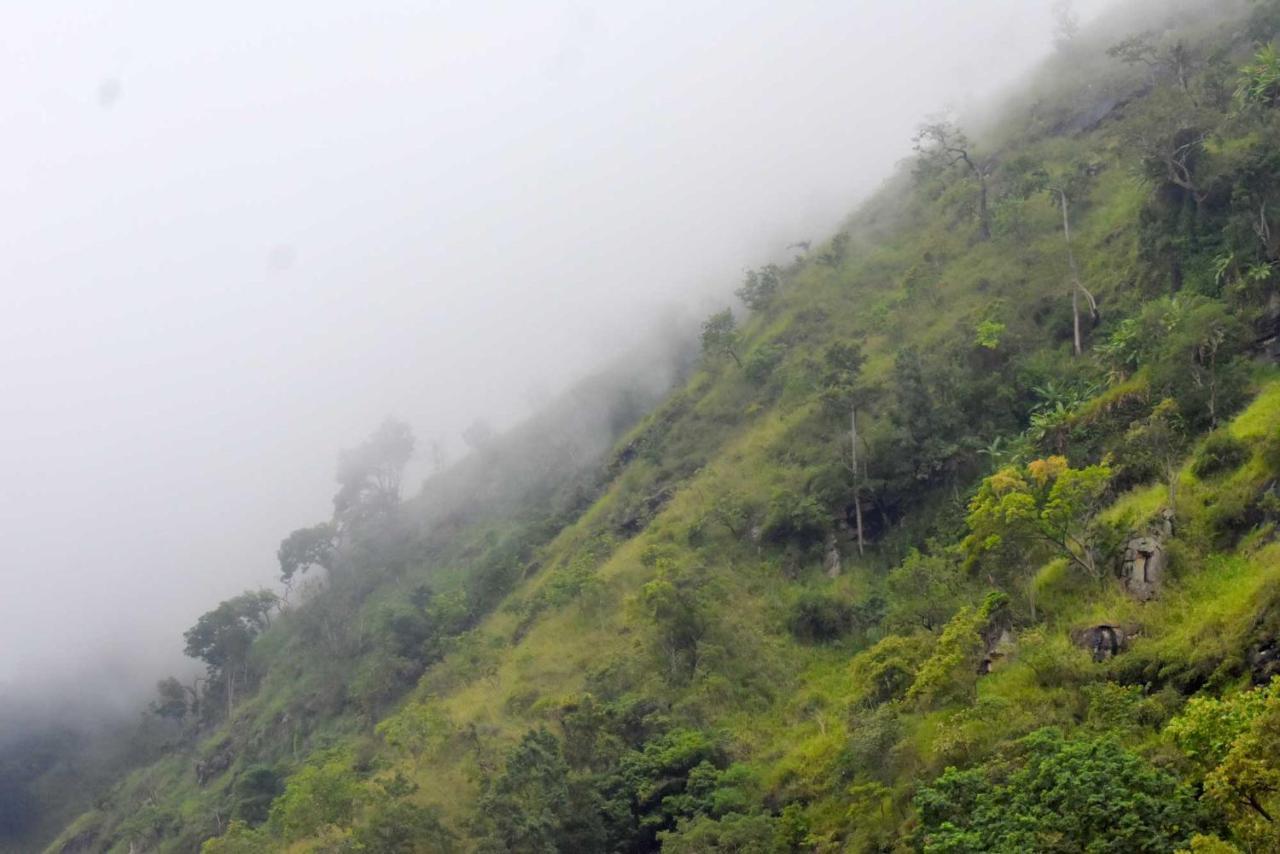 Herbage Natural Ella Otel Dış mekan fotoğraf